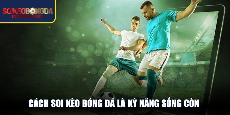 Cách soi kèo bóng đá là kỹ năng sống còn giúp bạn chiến thắng nhà cái