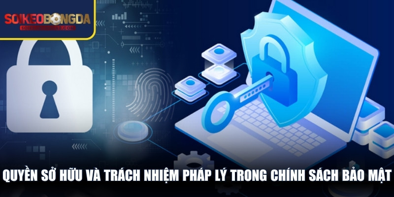 Quyền sở hữu và trách nhiệm pháp lý trong chính sách bảo mật