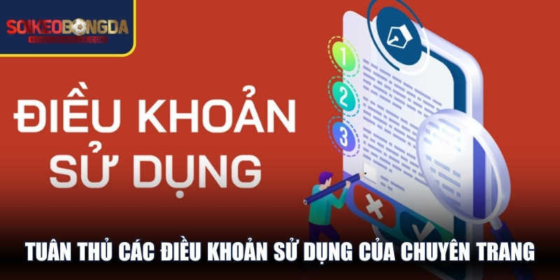 Tuân thủ các điều khoản sử dụng của chuyên trang