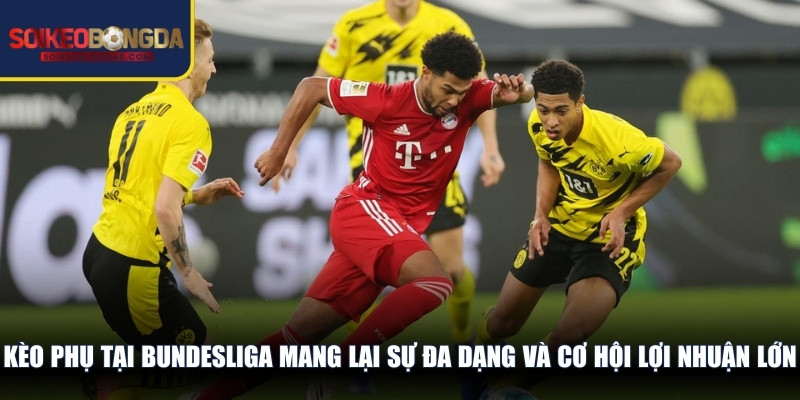 Kèo phụ tại Bundesliga mang lại sự đa dạng và cơ hội lợi nhuận lớn