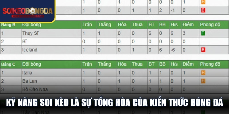 Kỹ năng soi kèo là sự tổng hòa của kiến thức bóng đá và tư duy tài chính