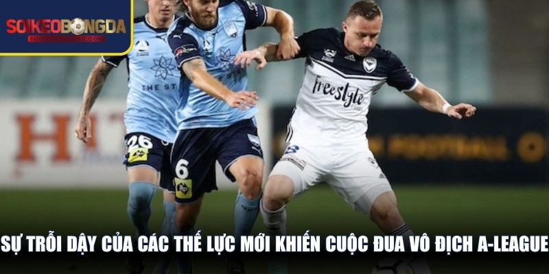 Sự trỗi dậy của các thế lực mới khiến cuộc đua vô địch A-League