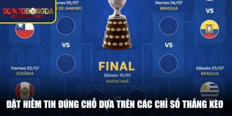 Đặt niềm tin đúng chỗ dựa trên các chỉ số thắng kèo thực tế qua từng vòng