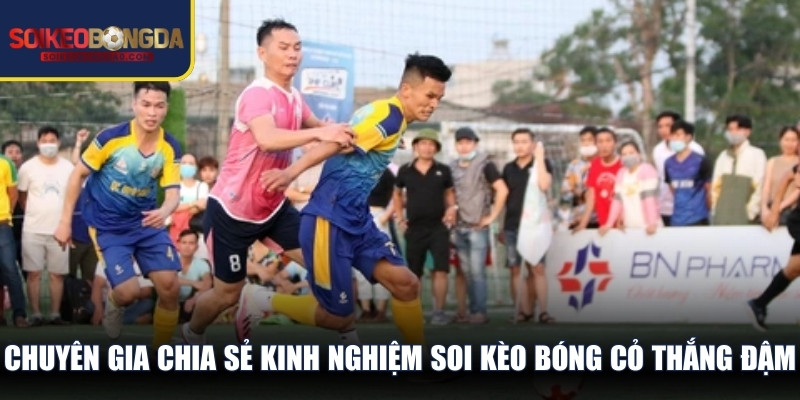 Chuyên gia chia sẻ kinh nghiệm soi kèo bóng cỏ thắng đậm