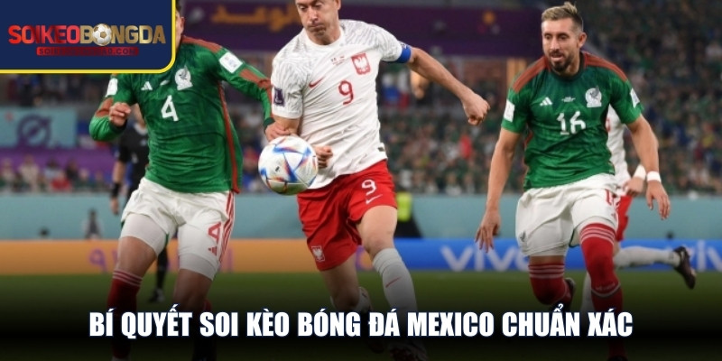 Bí quyết soi kèo bóng đá Mexico chuẩn xác được chuyên gia chia sẻ