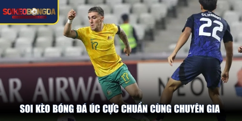 Soi kèo bóng đá Úc cực chuẩn cùng chuyên gia để tối ưu cơ hội chiến thắng