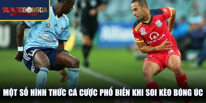 Một số hình thức cá cược phổ biến khi soi kèo bóng Úc