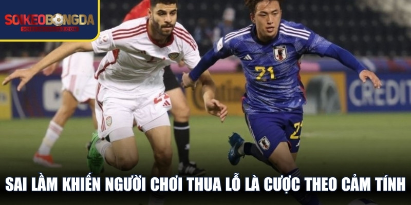 Sai lầm khiến người chơi thua lỗ là cược theo cảm tính, thương hiệu