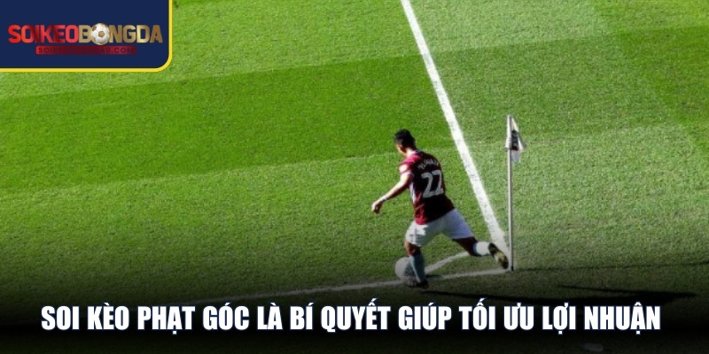 Soi kèo phạt góc là bí quyết giúp người chơi cá cược tối ưu lợi nhuận