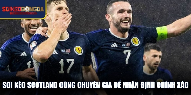 Soi kèo Scotland cùng chuyên gia để nhận định chính xác tỷ lệ bóng đá