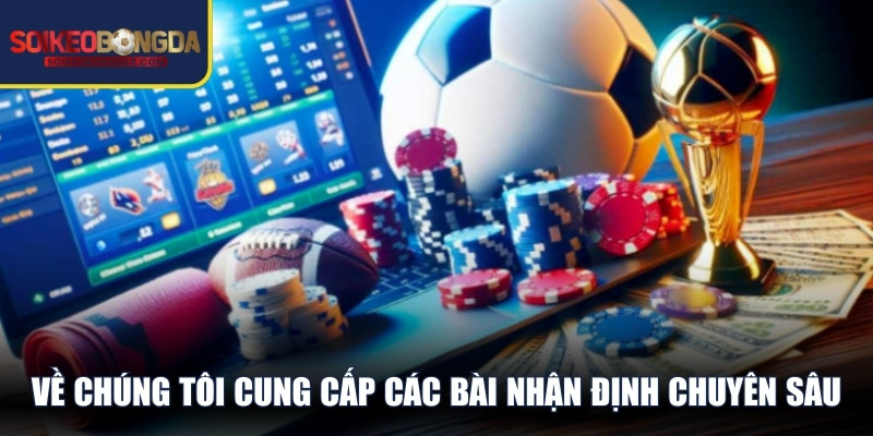 Về chúng tôi cung cấp các bài nhận định chuyên sâu